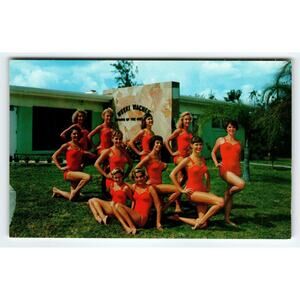 Weeki Wachee Mermaid Florida Postcard 11 Women In Red Swimsuits Chrome Unused